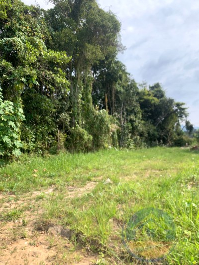 Terreno para venda em Peruíbe